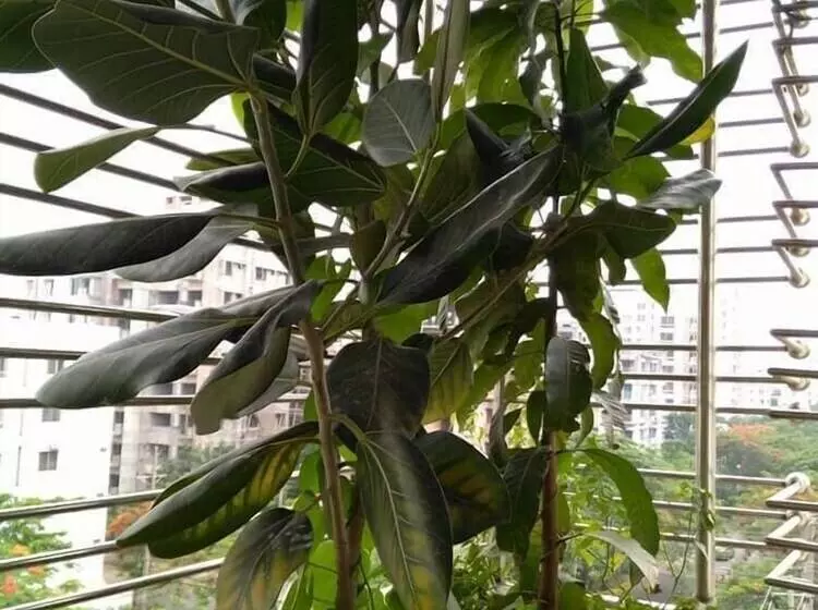 Sabrina S Home   Hostel