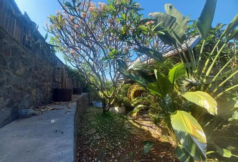 Vert Lagon