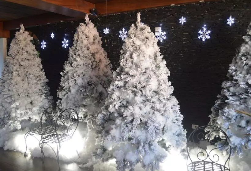 هتل Villa Antigua