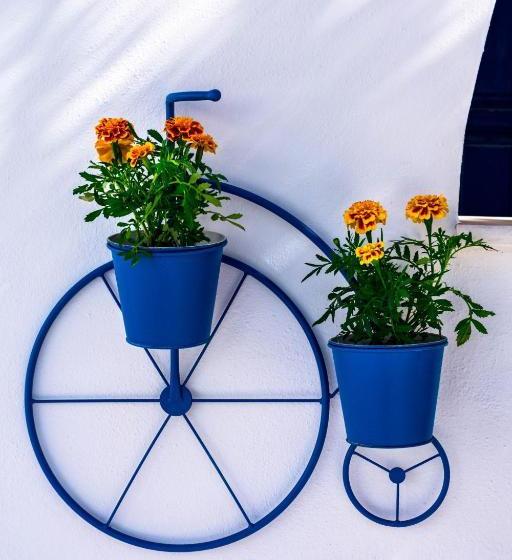 Dedalos Studios Naxos