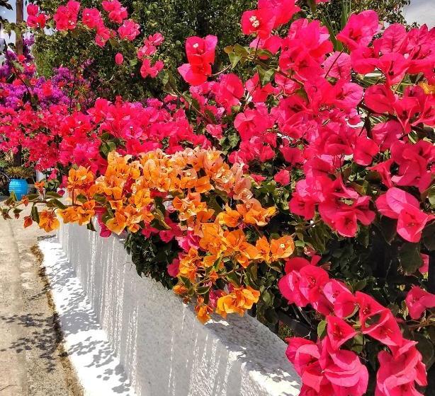 Dedalos Studios Naxos