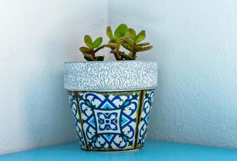 Dedalos Studios Naxos