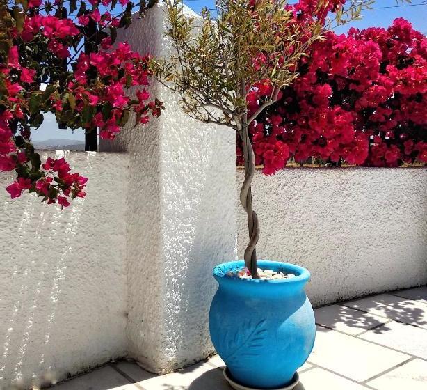 Dedalos Studios Naxos