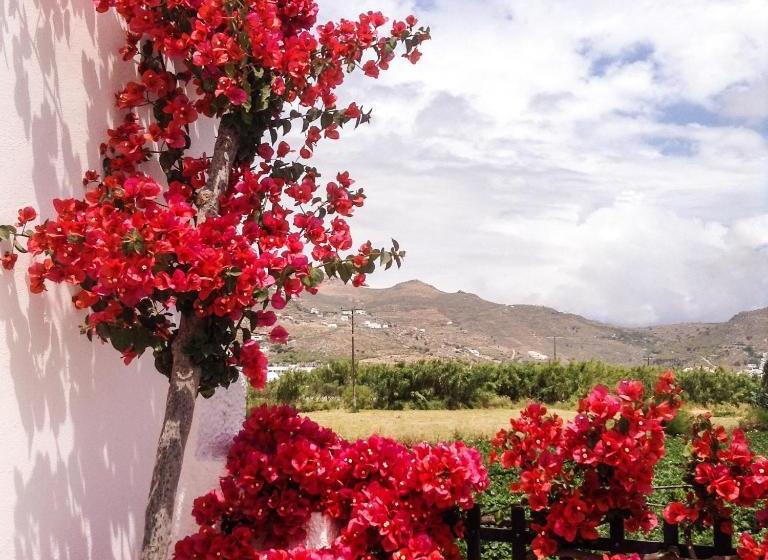 Dedalos Studios Naxos