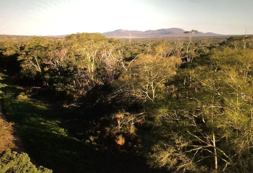 فندق Msunduze River Lodge