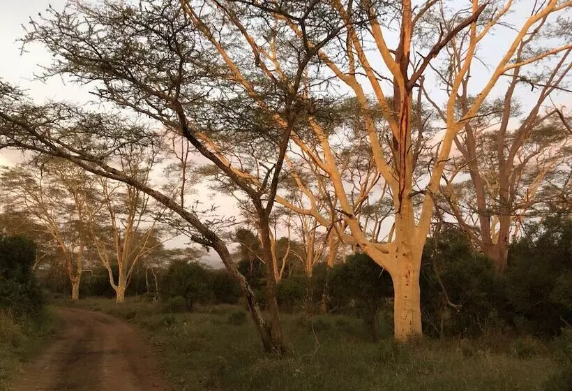 Hotelli Msunduze River Lodge