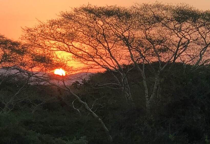 فندق Msunduze River Lodge