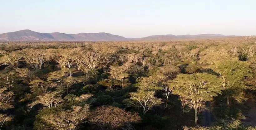 Hotelli Msunduze River Lodge