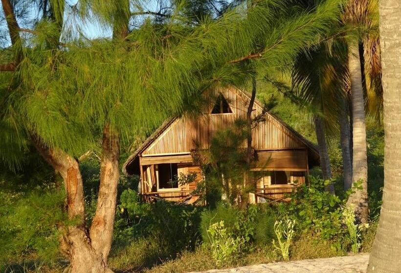 هتل Naturalia Lodge