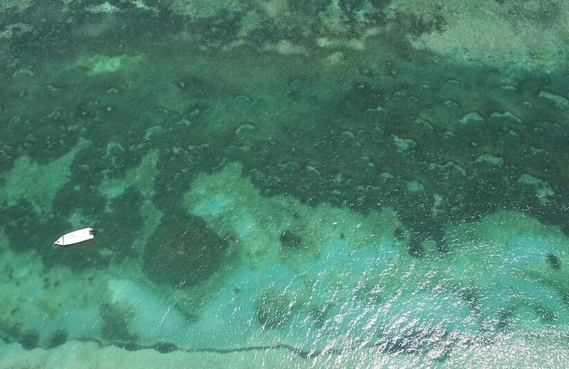 هتل Naturalia Lodge