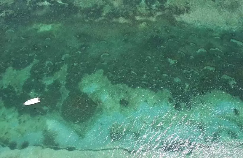 هتل Naturalia Lodge