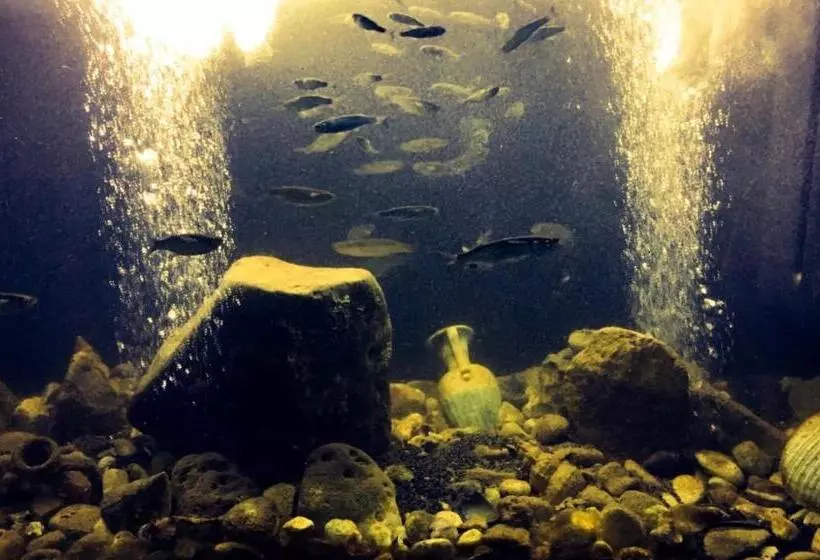 Hotelli Albergo 2 Mari