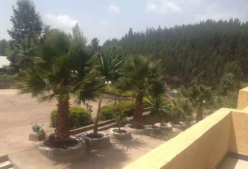 هتل Joamla