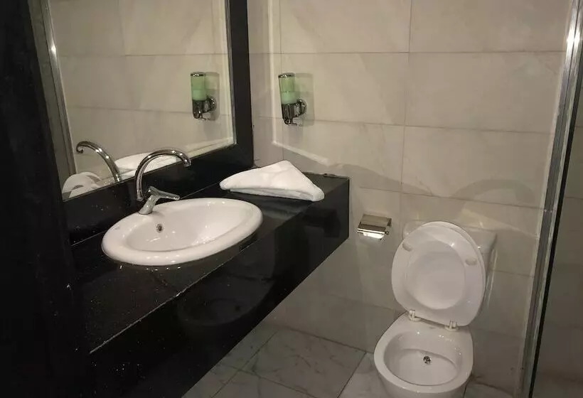 Panorama Hotel Tanta