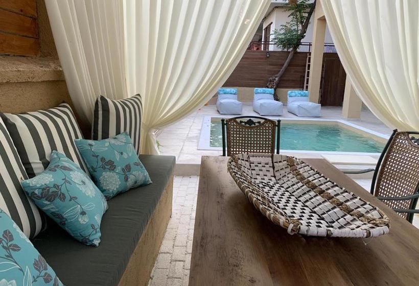 Sperveri Della Regina