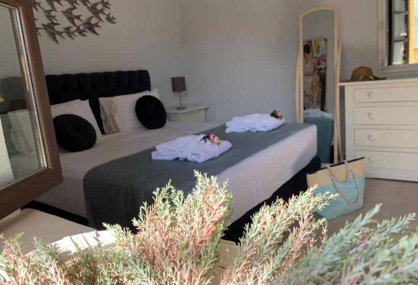 Sperveri Della Regina