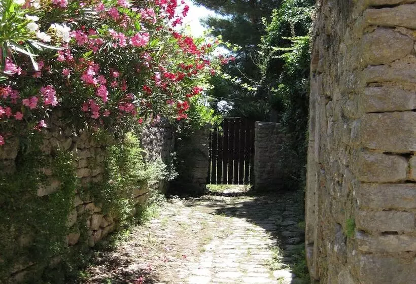 Unique Antistress Oasis Villa Antiqua