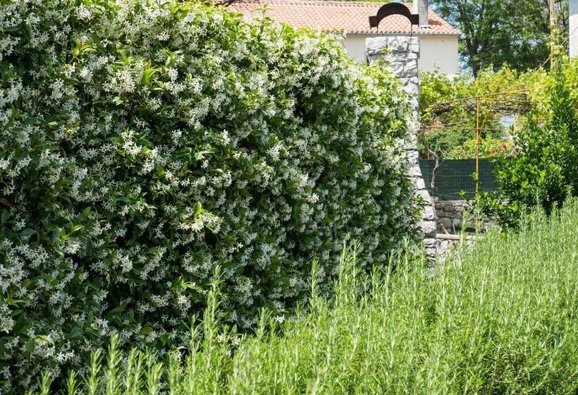 Unique Antistress Oasis Villa Antiqua