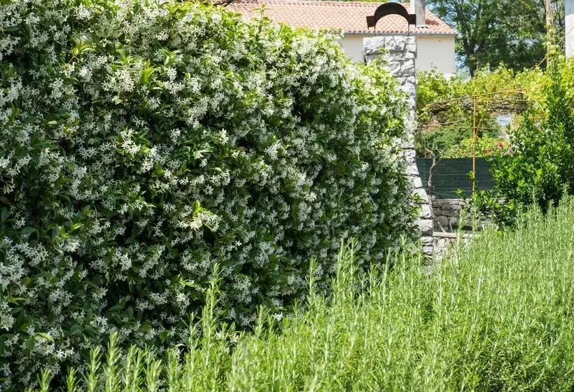 Unique Antistress Oasis Villa Antiqua