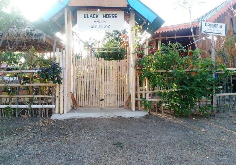 Nocleg ze śniadaniem Black Horse Meno