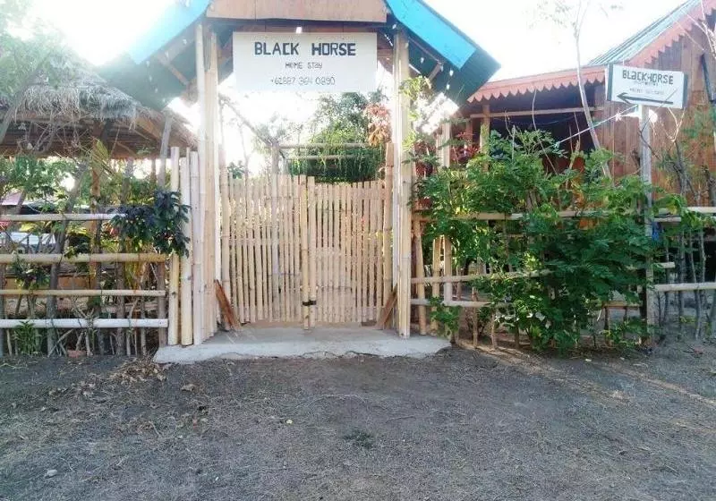 ベッドアンドブレックファースト Black Horse Meno