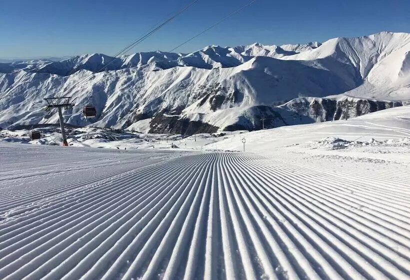 هتل Quadrum Ski & Yoga Resort