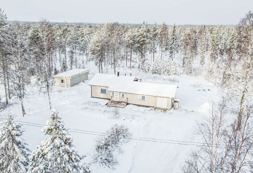 The Elegant Haistila