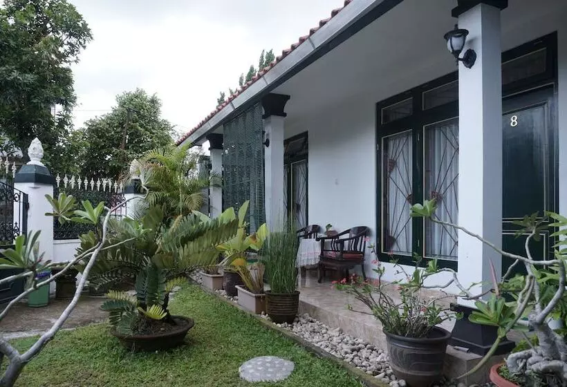 هاستل Griya Cemara Homestay By Oyo Rooms