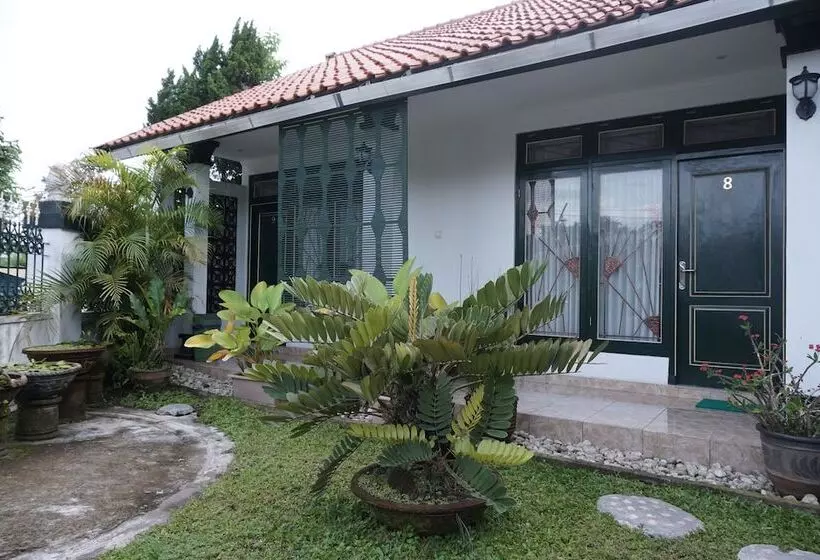 هاستل Griya Cemara Homestay By Oyo Rooms