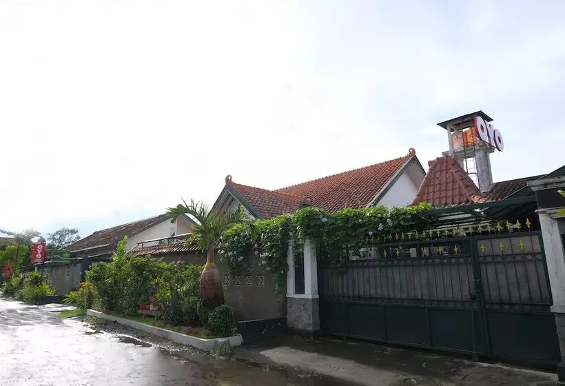 هاستل Griya Cemara Homestay By Oyo Rooms