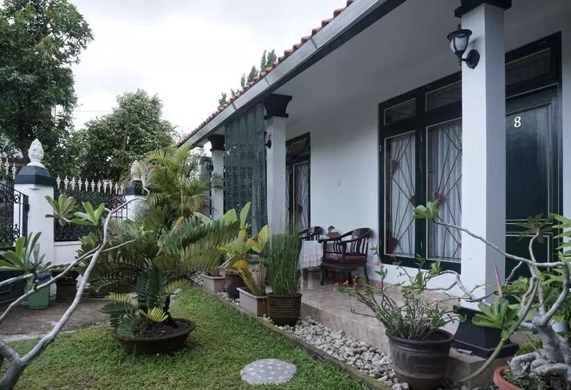 هاستل Griya Cemara Homestay By Oyo Rooms