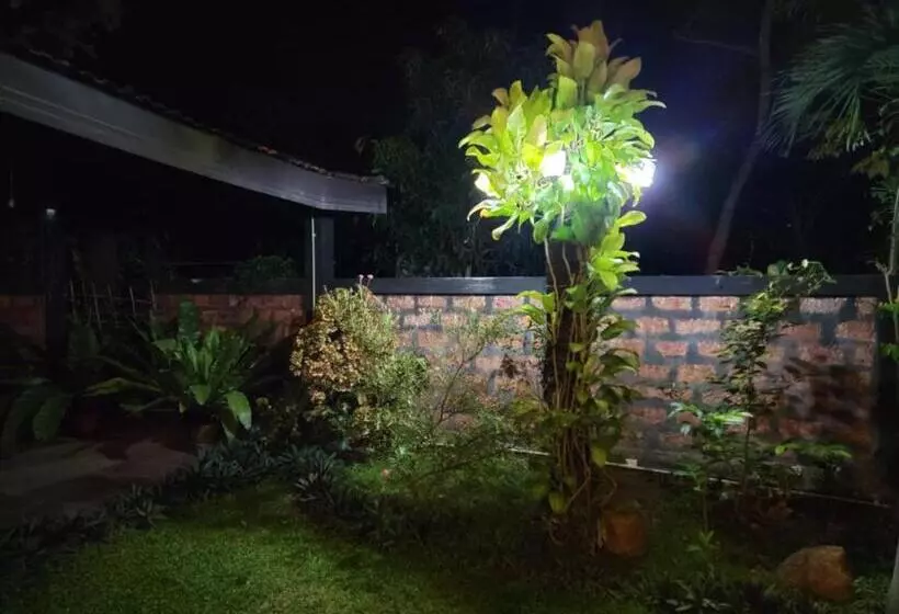 تختخواب و صبحانه Edwin S Airport Garden