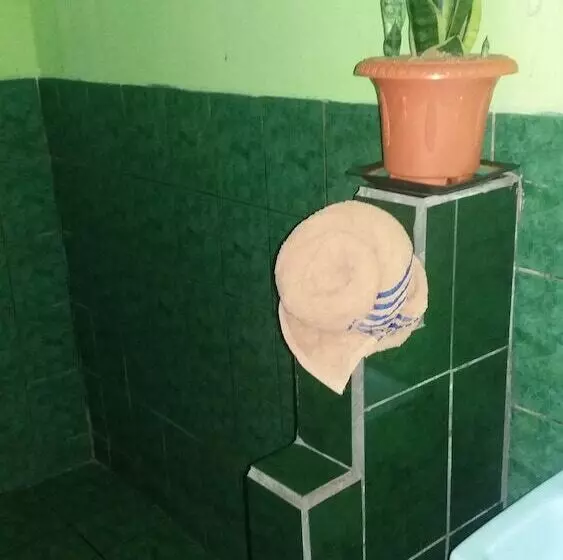 Hotelli Green Mountain Turrialba