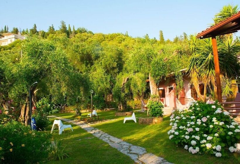 پانسیون Anneta Studios