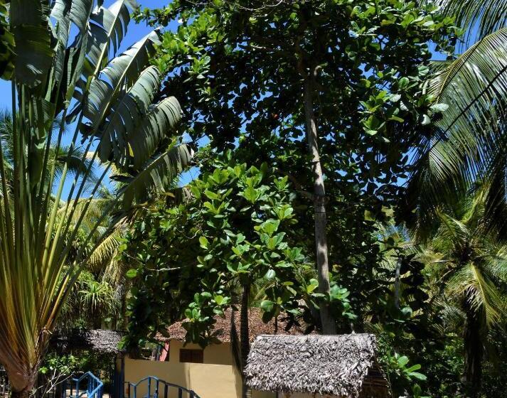 تختخواب و صبحانه Sambatra