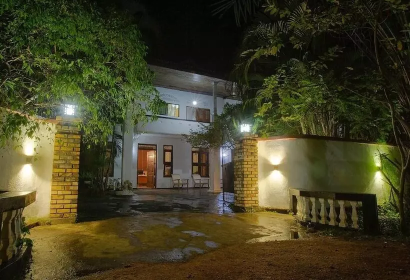 Aura City Hostel