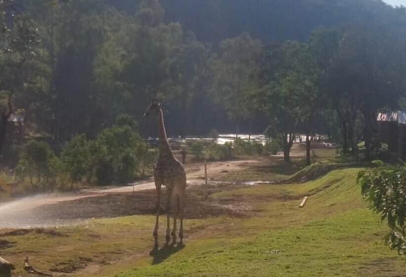 ホテル Ruah Park Camping & Outdoor