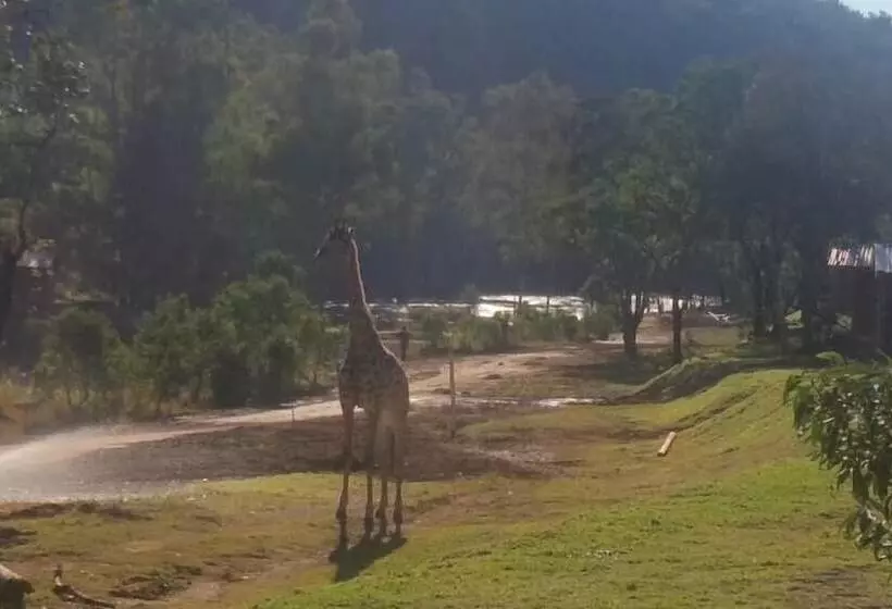 Hotelli Ruah Park Camping & Outdoor