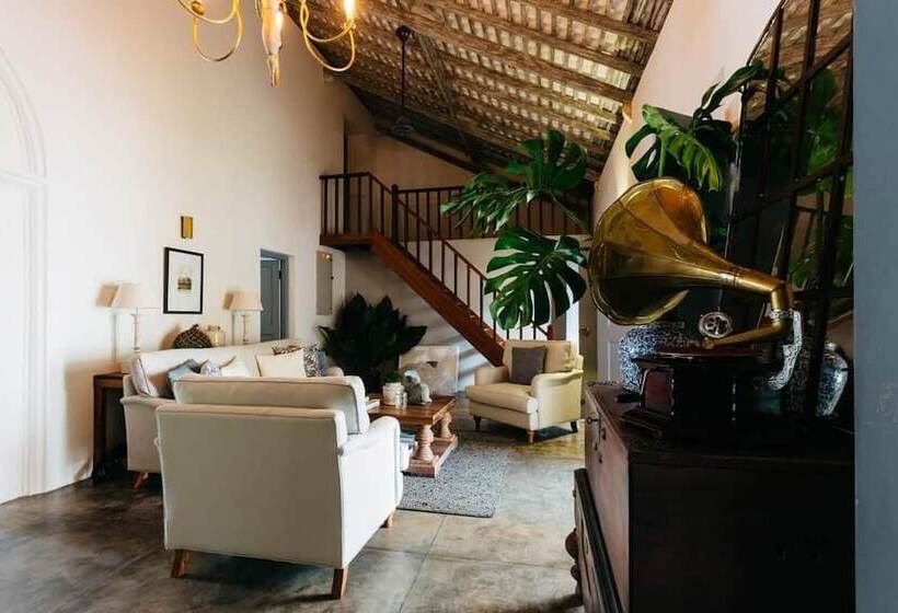 צימר The Dutch Bungalow