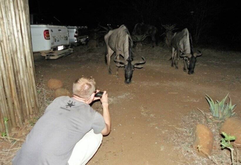 호텔 Kruger Inn Backpackers