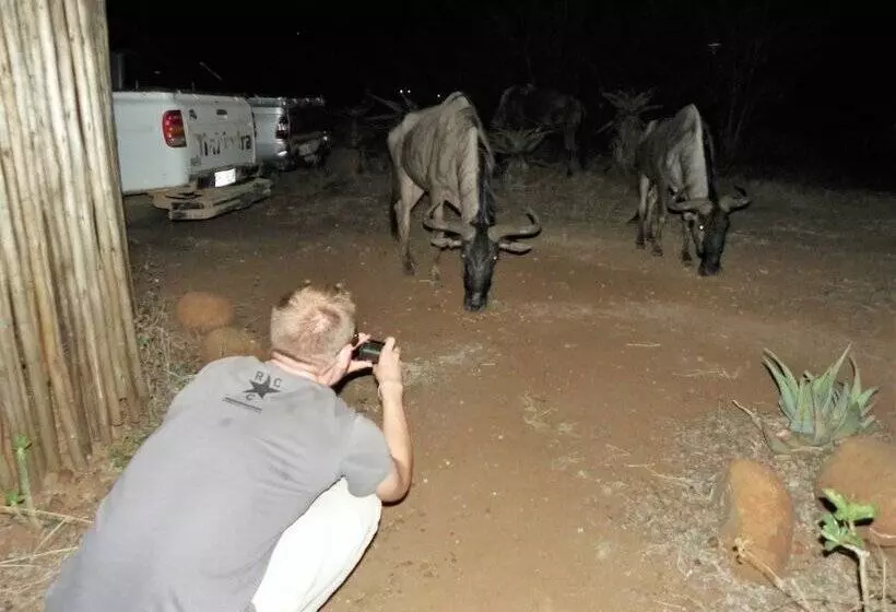 Hotelli Kruger Inn Backpackers
