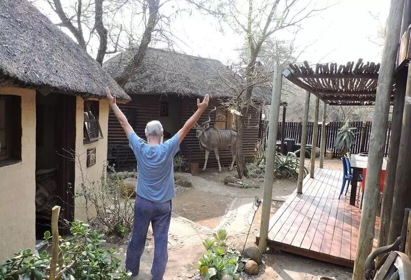 Hotelli Kruger Inn Backpackers