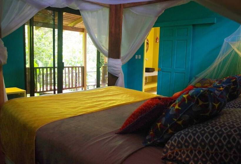 La Shamana Ecological, Concept In The Jungle