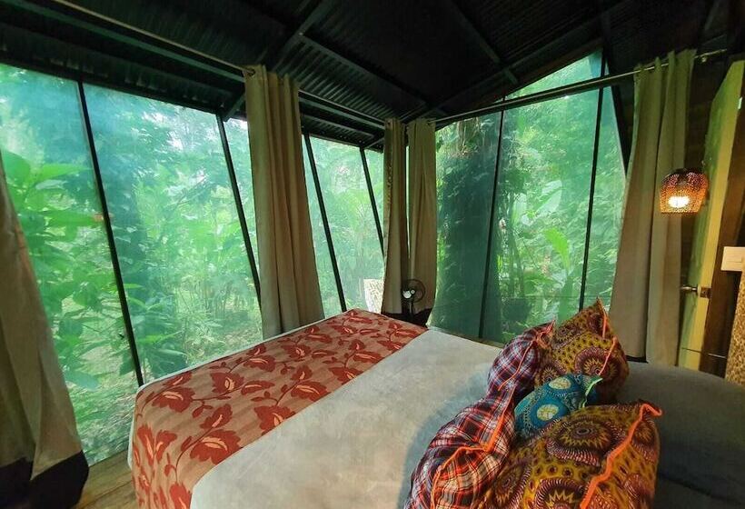 La Shamana Ecological, Concept In The Jungle