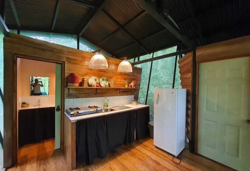 La Shamana Ecological, Concept In The Jungle