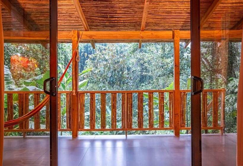 La Shamana Ecological, Concept In The Jungle