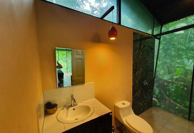 La Shamana Ecological, Concept In The Jungle