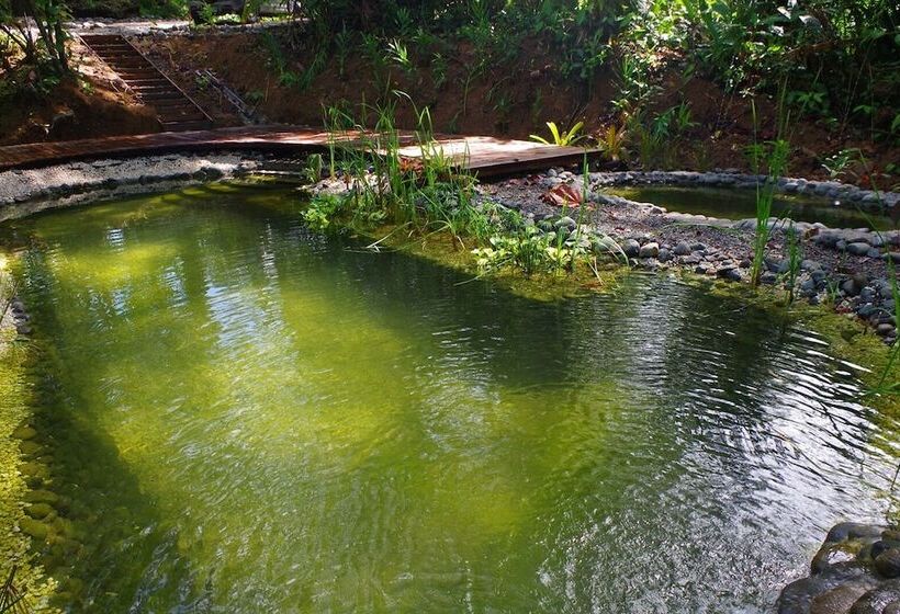 La Shamana Ecological, Concept In The Jungle