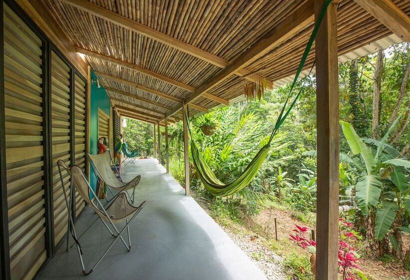 La Shamana Ecological, Concept In The Jungle