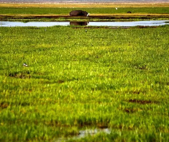 ホテル H12 Elephant Gorge Camp